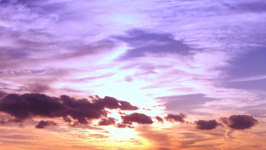 瑞雲を象徴する紫の雲